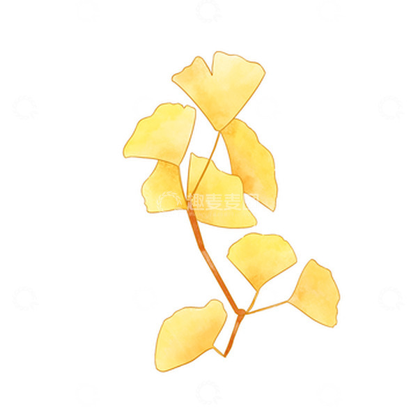 源文件下载【趣麦麦图】秋天黄色枫叶树枝植物手绘插画