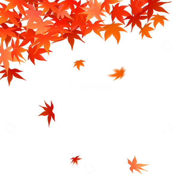 源文件下载【趣麦麦图】枫叶立秋元素