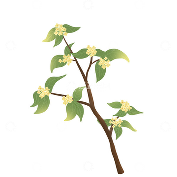 源文件下载【趣麦麦图】中秋桂花飘香元素