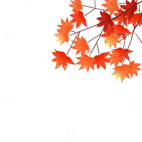 源文件下载【趣麦麦图】红色枫叶立秋元素