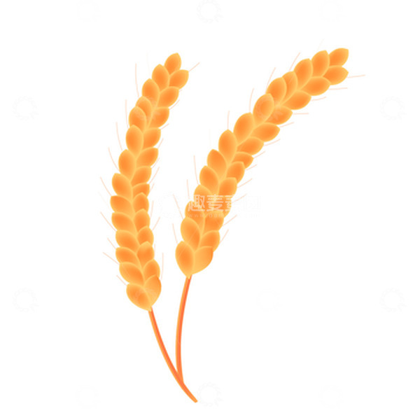 源文件下载【趣麦麦图】立秋小清新小麦麦穗植物简约矢量图