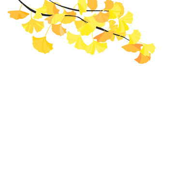 金黄的银杏树叶立秋元素