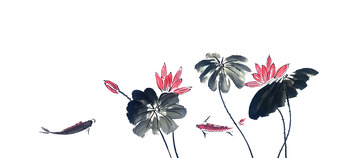 水墨国画荷塘荷花悠闲鲤鱼