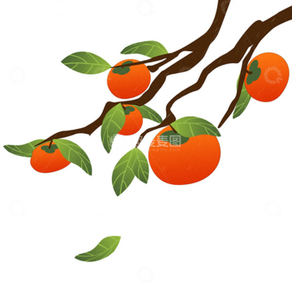 源文件下载【趣麦麦图】红色秋天立秋柿子熟了美食手绘植物元素