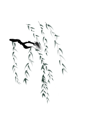 深色水墨风夏蝉手绘素材