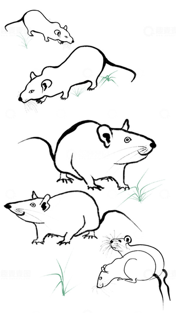 源文件下载【趣麦麦图】黑色中国传统水墨风小老鼠可爱鼠子手绘素材