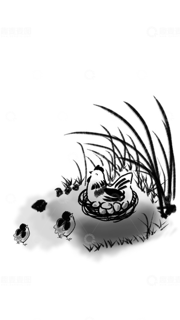 源文件下载【趣麦麦图】黑白色中国传统水墨风小鸡母鸡孵蛋手绘素材