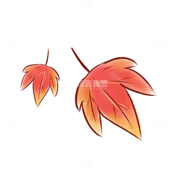 源文件下载【趣麦麦图】立秋水彩卡通枫叶元素