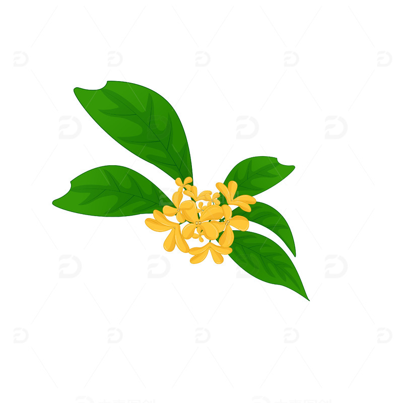 金色绿色小清新金色桂花中秋手绘矢量插画