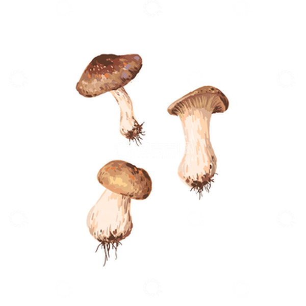 源文件下载【趣麦麦图】简单的蘑菇插画