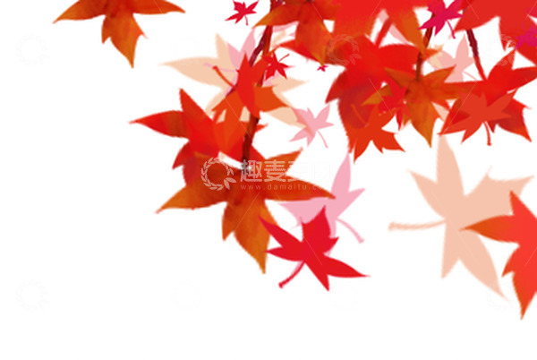 源文件下载【趣麦麦图】中国风立秋红色枫叶
