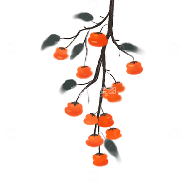 源文件下载【趣麦麦图】水墨画柿子立秋元素