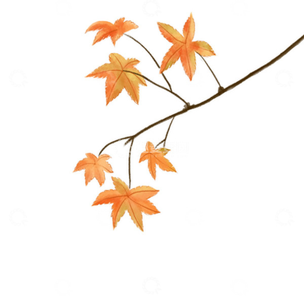 源文件下载【趣麦麦图】黄色手绘水彩枫叶元素