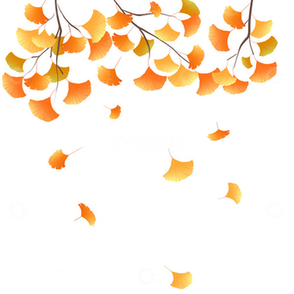 源文件下载【趣麦麦图】金黄的银杏叶立秋元素