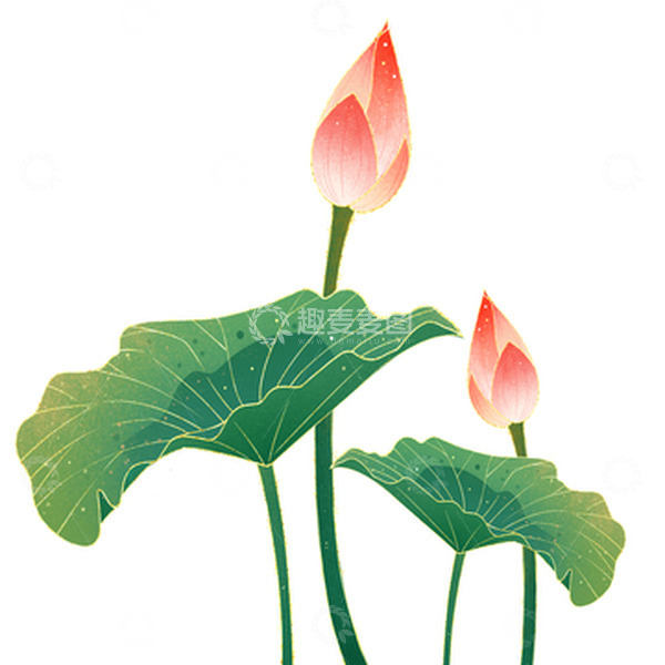 源文件下载【趣麦麦图】国潮国风荷花金箔渐变风荷花荷叶夏季元素