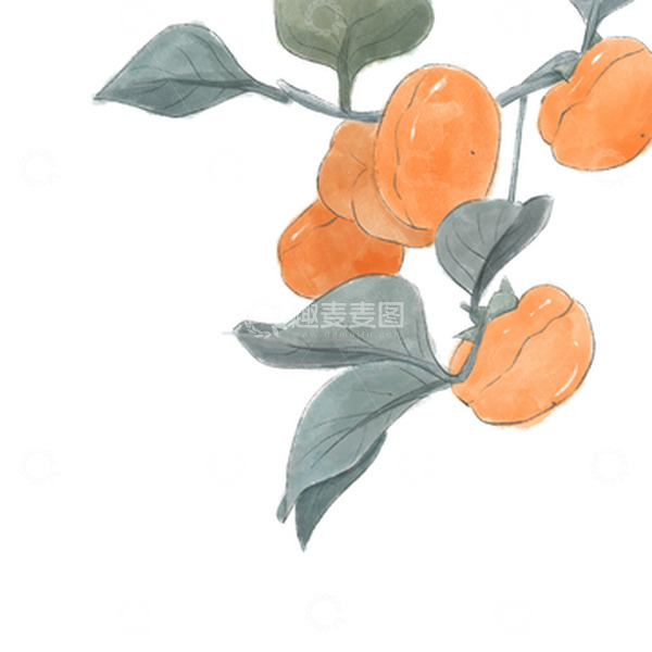 源文件下载【趣麦麦图】立秋国风柿子手绘图