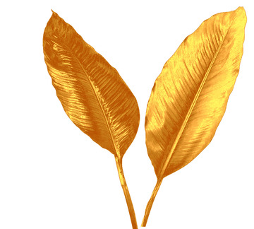 金色金箔树叶ps图片