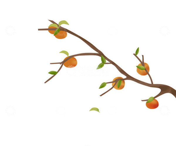 源文件下载【趣麦麦图】黄色秋天立秋柿子树枝果子
