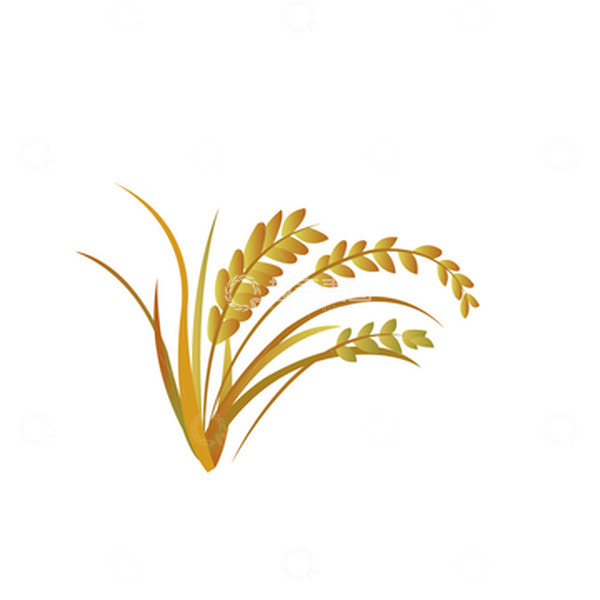 源文件下载【趣麦麦图】金色扁平风立秋麦穗手绘图