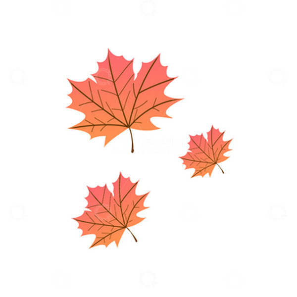源文件下载【趣麦麦图】火红的枫叶落叶立秋手绘图