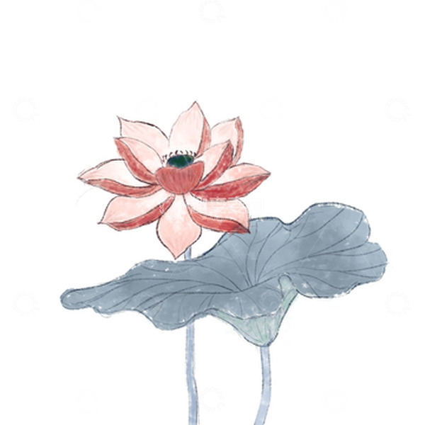 源文件下载【趣麦麦图】水墨风中国风红色荷花素材