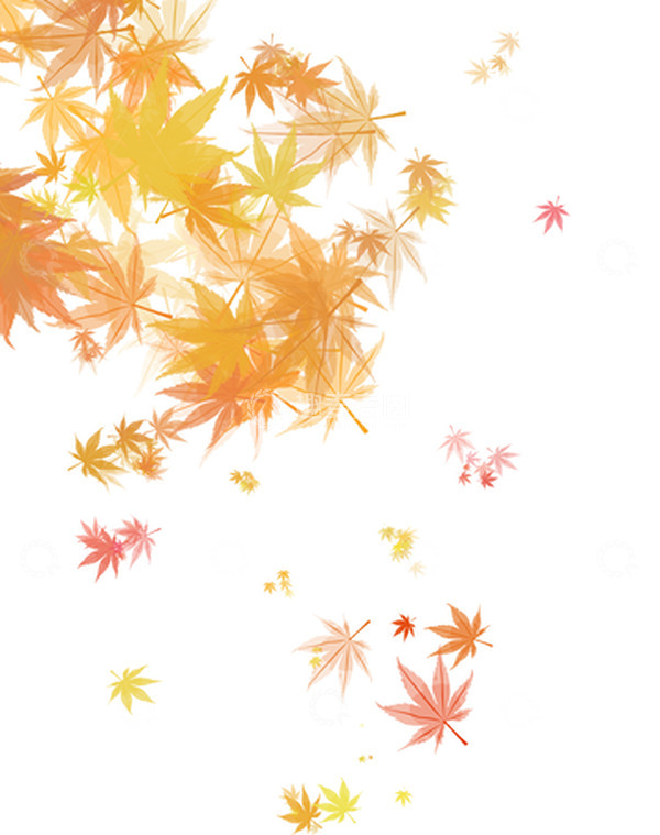 源文件下载【趣麦麦图】金黄立秋枫叶