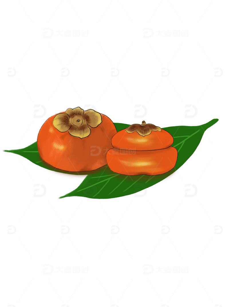 源文件下载【趣麦麦图】写实秋天柿子柿子叶秋收立秋元素立秋手绘图