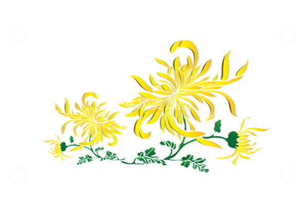 源文件下载【趣麦麦图】中秋节菊花装饰矢量手绘