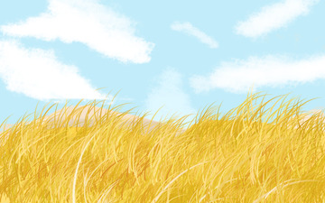 立秋田野秋天稻田背景