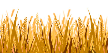 秋天立秋手绘金黄麦穗卡通素材