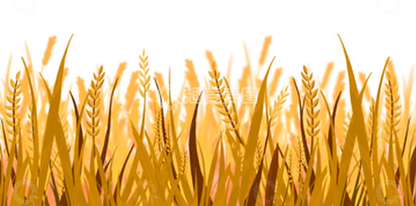 源文件下载【趣麦麦图】-秋天立秋手绘金黄麦穗卡通素材