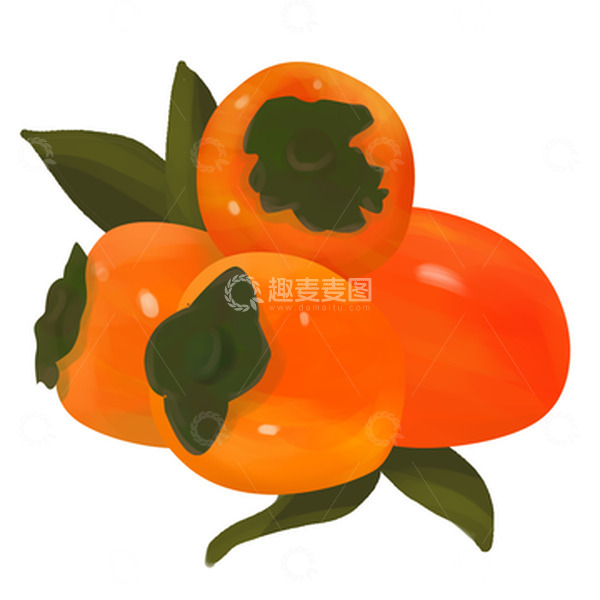 源文件下载【趣麦麦图】橙红色柿子立秋水果手绘