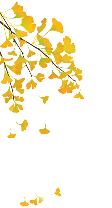 金色秋天的银杏叶手绘素材