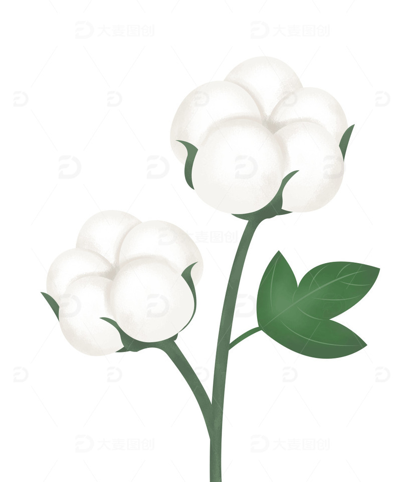 源文件下载【趣麦麦图】立秋天棉花植物卡通素材