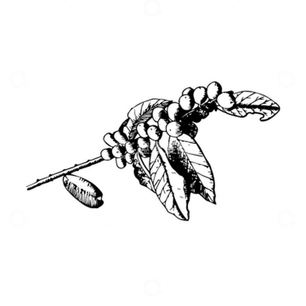 源文件下载【趣麦麦图】山上植物简笔画