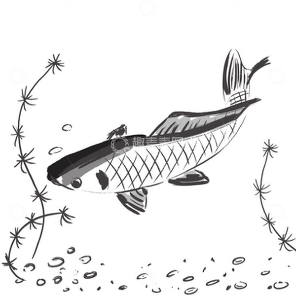 源文件下载【趣麦麦图】黑白小清新水墨风手绘鲤鱼PNG元素