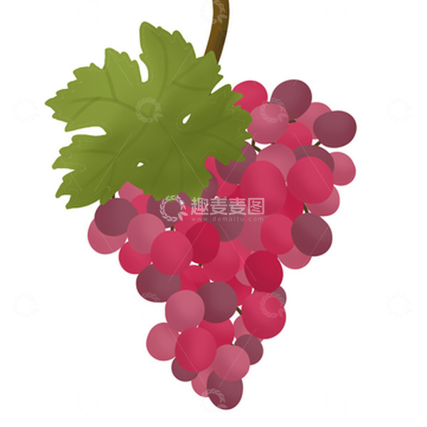 源文件下载【趣麦麦图】紫色葡萄立秋秋分秋季水果手绘元素