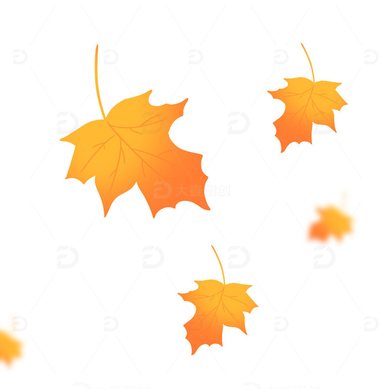 卡通手绘小清新立秋枫叶叶子元素