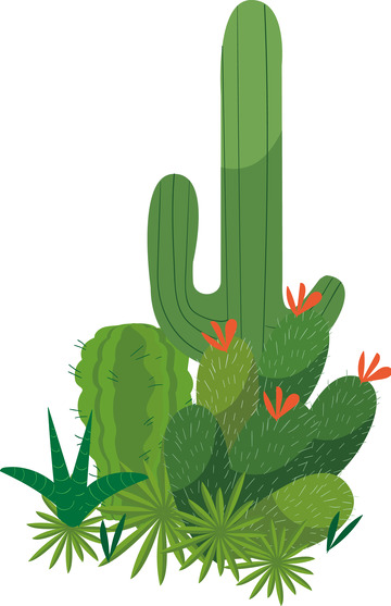 绿色小清新植物手绘仙人掌