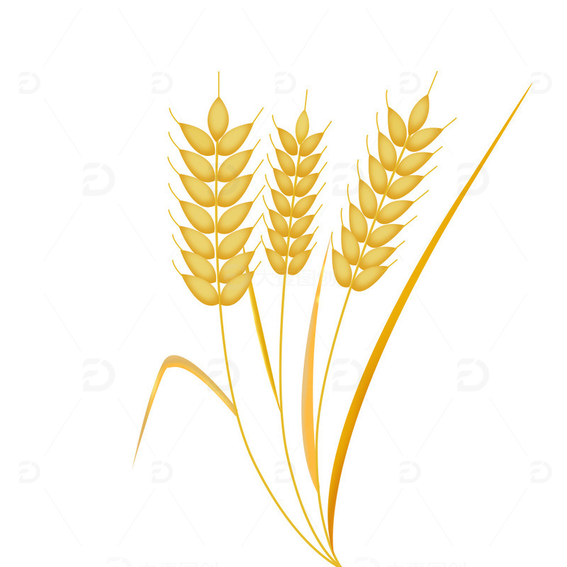 源文件下载【趣麦麦图】金色秋收立秋节日节气麦穗装饰元素