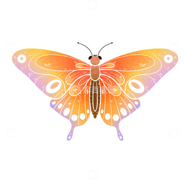 源文件下载【趣麦麦图】手绘彩色动物蝴蝶扁平插画