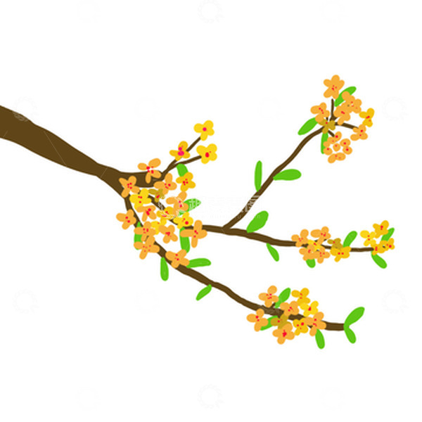 源文件下载【趣麦麦图】黄色桂花中秋节树枝花朵手绘