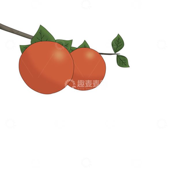 源文件下载【趣麦麦图】柿子秋天水果树枝