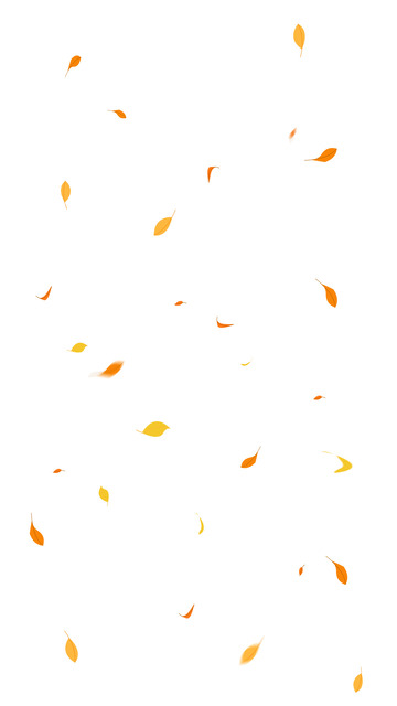 金秋节日节气立秋落叶画面装饰元素