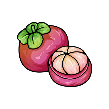 紫色山竹水果手绘国潮插画