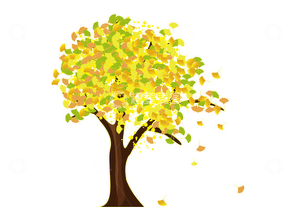 源文件下载【趣麦麦图】秋天银杏树矢量手绘