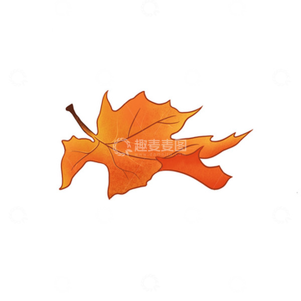 源文件下载【趣麦麦图】立秋枫叶手绘矢量图