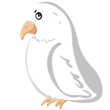 白色简约小鸟手绘图