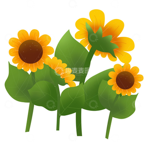 源文件下载【趣麦麦图】立秋向日葵太阳花