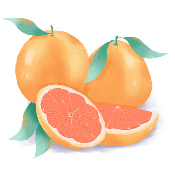 金黄色手绘西柚子立秋丰收季节水果素材